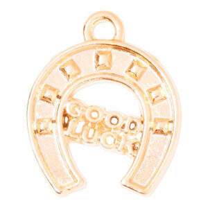 CDL Chapa Oro Dije Herradura Buena Suerte 15mm (2 pza)
